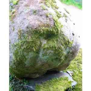 Click para ampliar. Pulsa en el nombre para ver la ficha. Verraco de Ourol